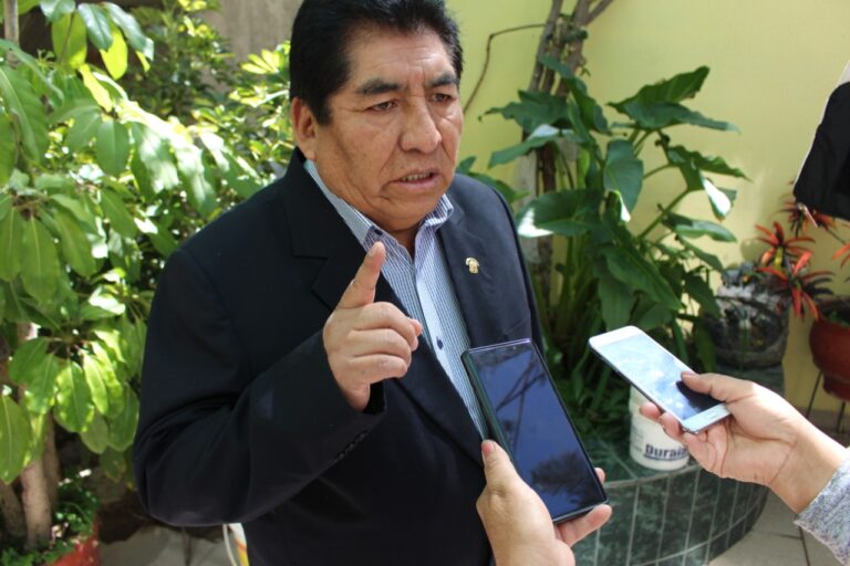 Congresista Hipólito Chaiña le pide al Gobierno comprar la producción de papas de los agricultores de la región