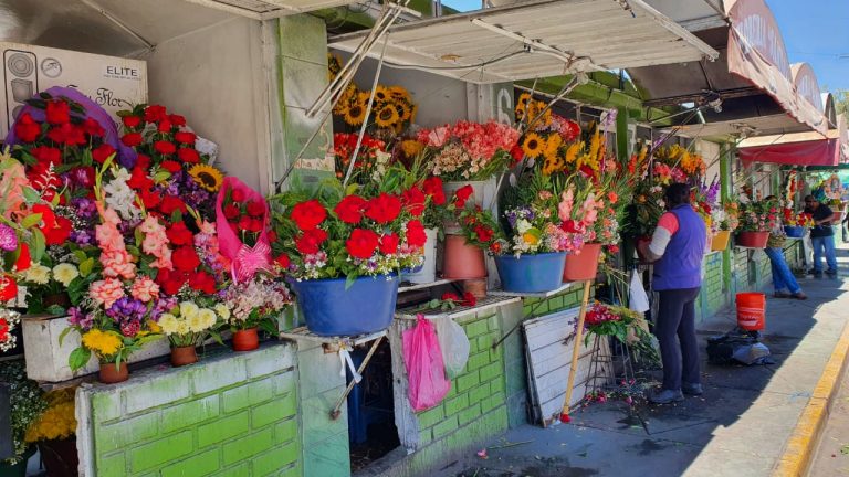 Vendedores de flores registran una pérdida del 90% de sus ventas a causa de la pandemia