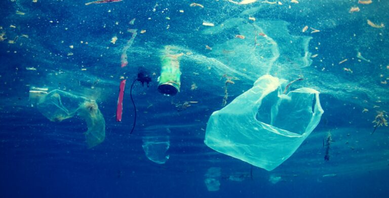 Alrededor de 14 millones de toneladas de microplásticos contaminan fondo de océanos