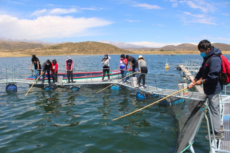 Arequipa: 40 personas participarán de una exhibición de natación en la represa de Uzuña