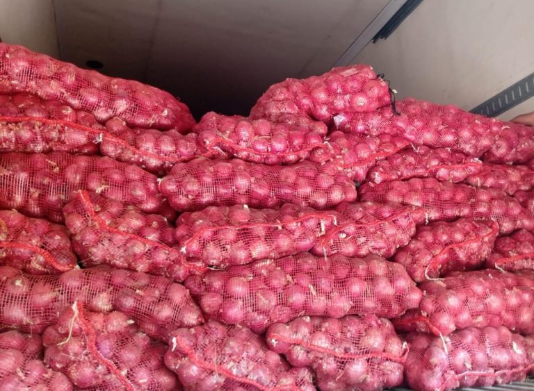 Agricultores de Majes comenzaron a exportar cebolla a Brasil