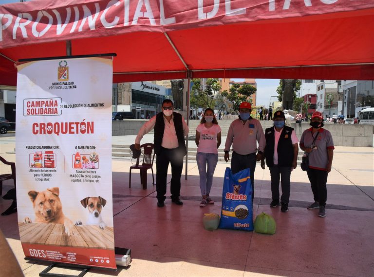 Tacna: Municipalidad organiza campaña de donación de alimentos para canes callejeros