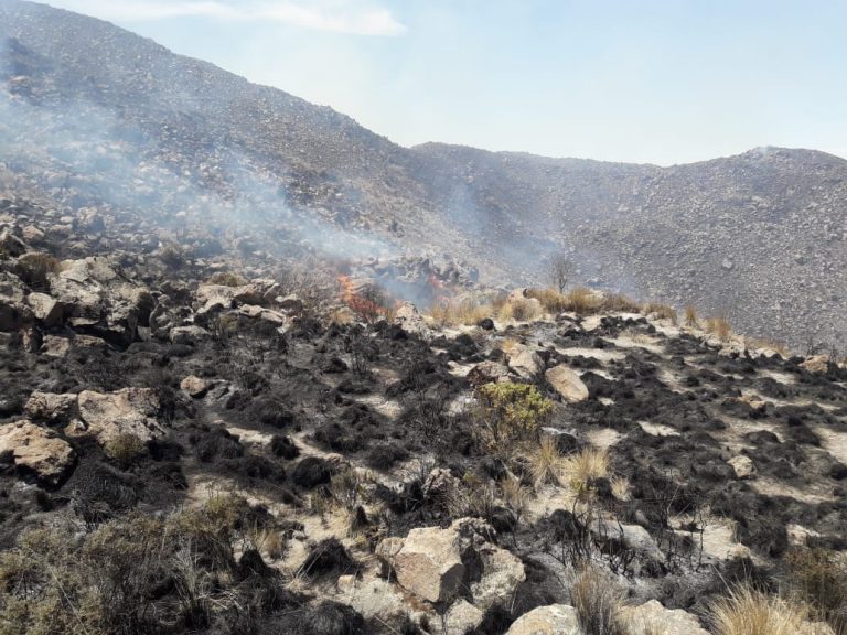 Arequipa: Aprueban plan de prevención de riesgos ante incendios forestales