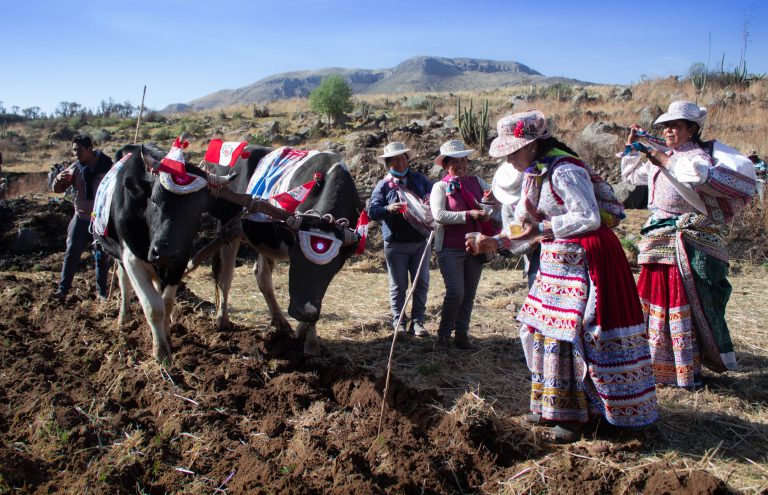 Arequipa: Valle del Colca recibió más de 18 mil visitantes durante el 2020