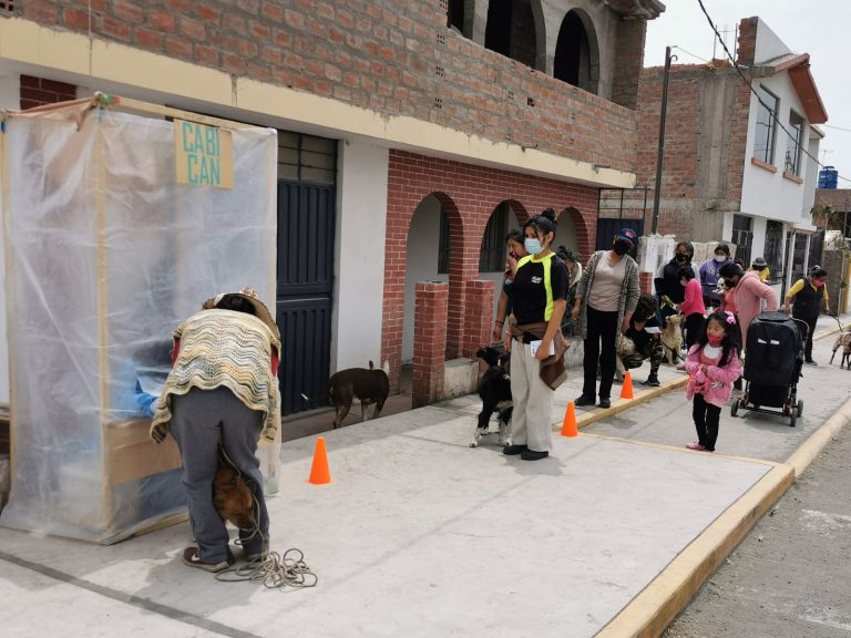 Identifican sexto caso de rabia canina en menos de un mes en Arequipa