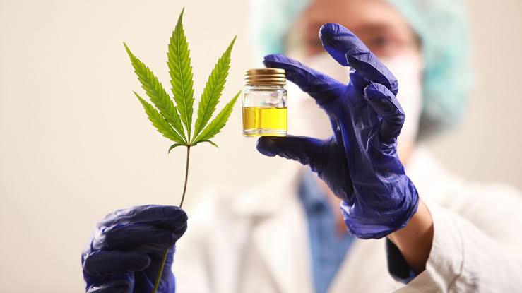 Mercado de cannabis medicinal incrementaría en 2021
