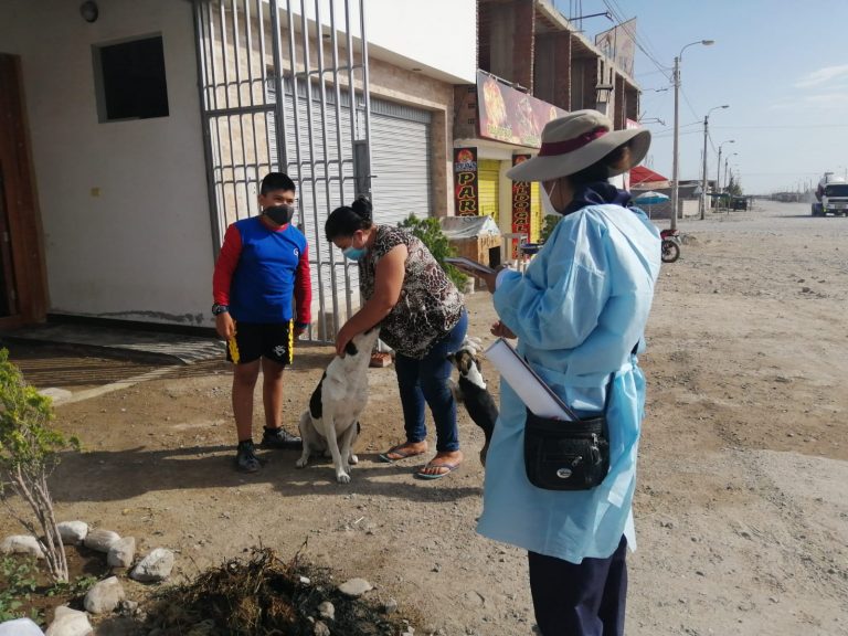 Realizan campaña de vacunación canina tras detectarse segundo caso de rabia en Majes