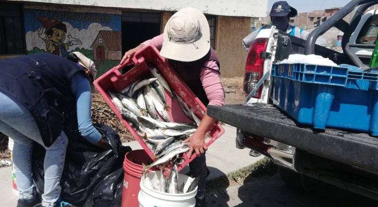 Arequipa: Gestionan más de 150 kg de pescado para tres olla comunes de Cayma