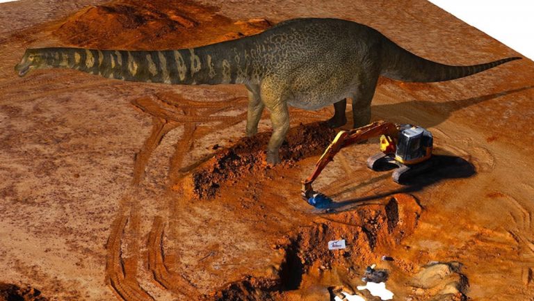 Descubren los restos del dinosaurio más grande de Australia