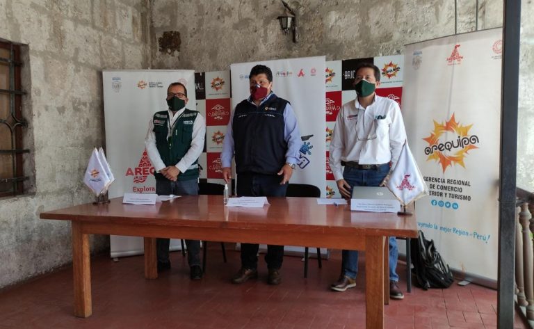 Lanzan el primer «Concurso Regional de Olivos Patrimoniales» por el bicentenario del Perú