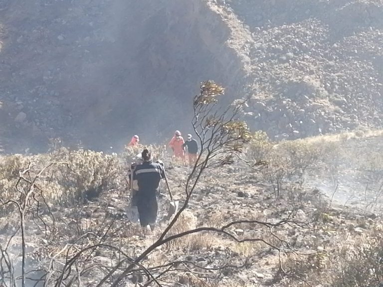 Incendios forestales en los distritos de Chivay y Lluta fueron controlados