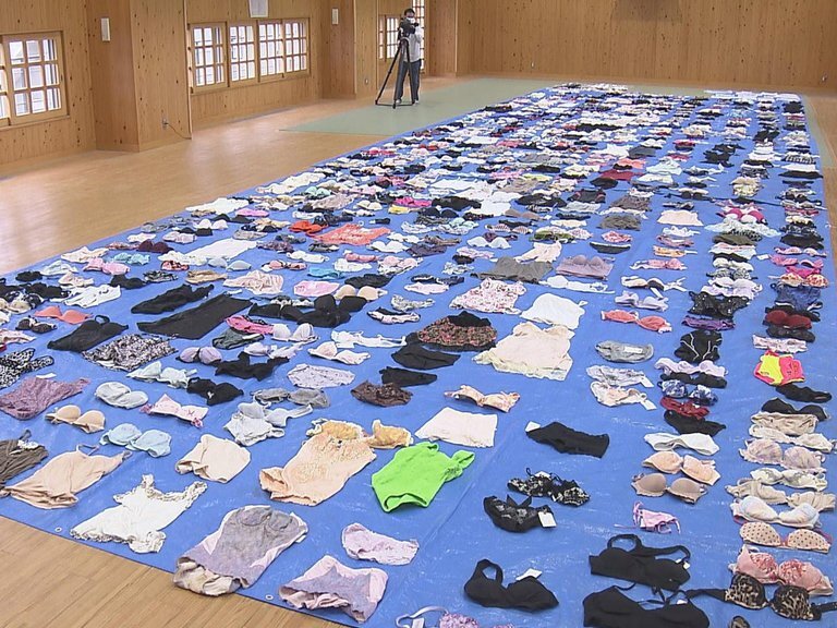 Japón: Arrestan a sujeto por hurtar más de 700 prendas íntimas femeninas de una lavandería