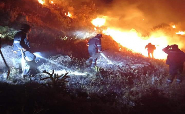 Incendios forestales en Cabanaconde vienen generando daños al valle del Colca