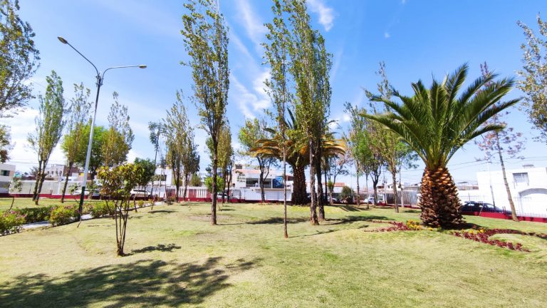 Municipalidad Provincial de Arequipa espera recuperar más de 2000 m² de áreas verdes