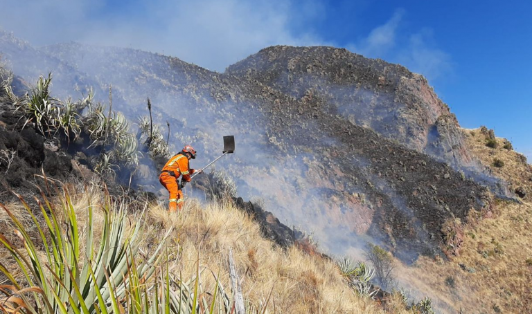 Cusco: Incendios forestales arrasaron con 870 hectáreas y se reportó un fallecido