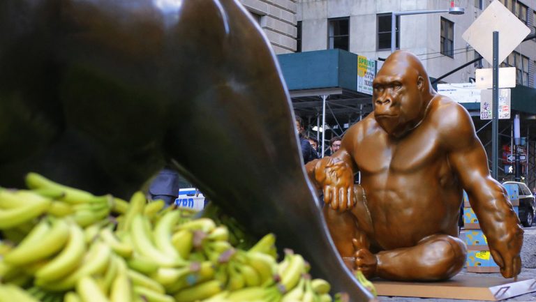 Estados Unidos: Erigen estatua del gorila Harambe frente al toro de Wall Street