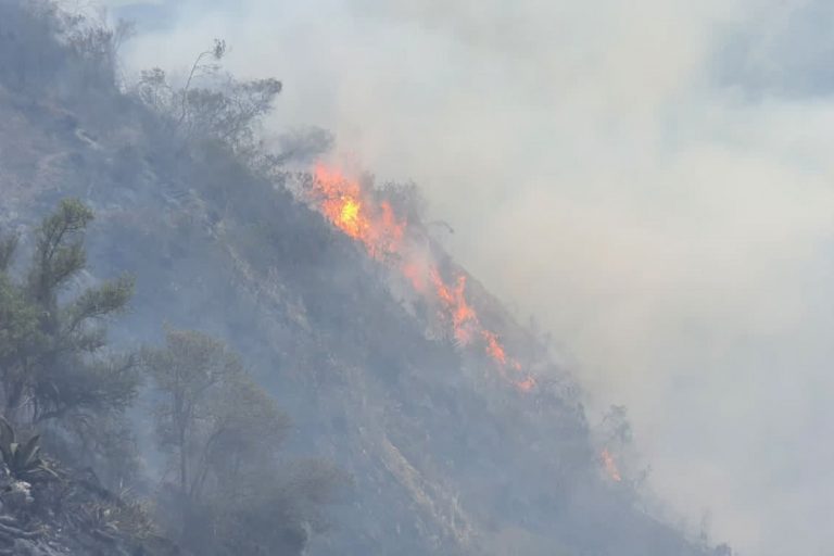 Limatambo: Incendio forestal pone en riesgo la conservación de cóndores