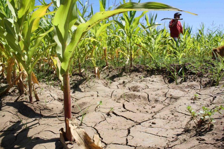 Estrés hídrico afectará a los agricultores de Arequipa