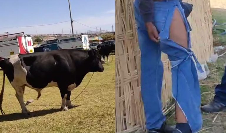 Varón resulto herido por un toro en la Feria Artesanal de Moquegua