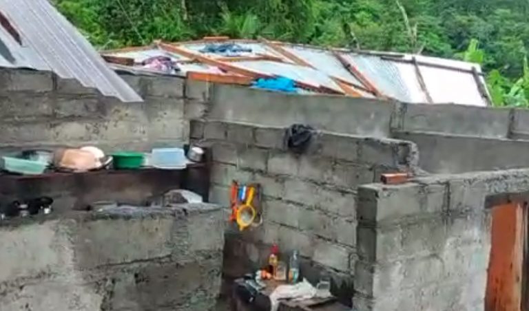 Familia se salva de morir tras desprenderse techo de calamina por fuertes vientos en Carabaya