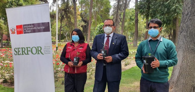 Serfor propone el uso de aguas tratadas para regar parques y forestar zonas de Arequipa