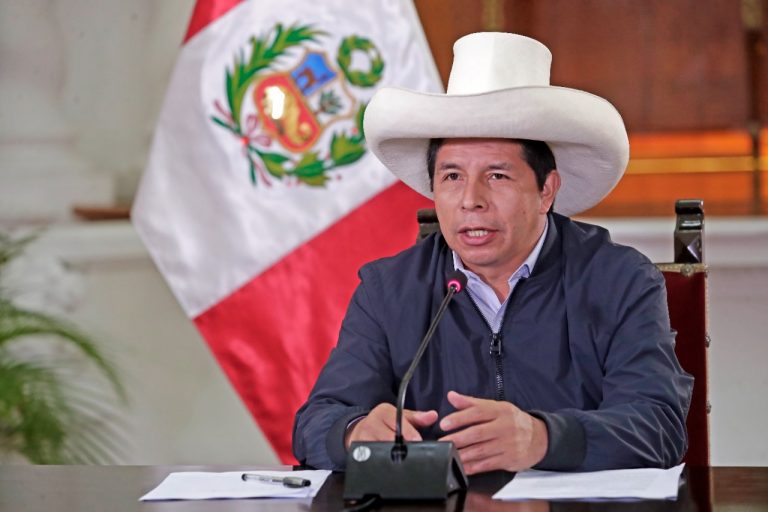 Pedro Castillo: “Ruido político no impedirá seguir trabajando con firmeza por el país”