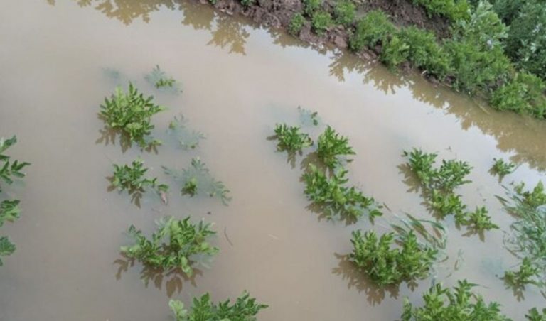 Río Patascachi se desborda y arrasa con cultivos en Tilati