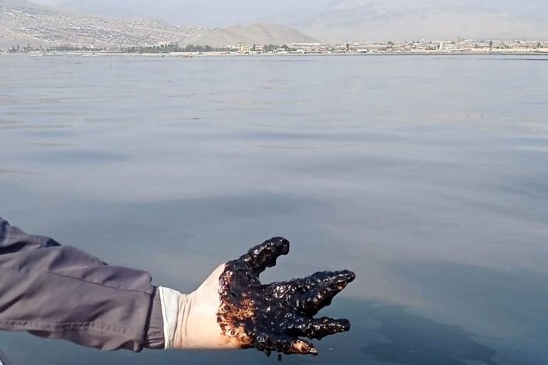 Congreso: convocarán a representantes de Repsol y autoridades tras derrame de petróleo