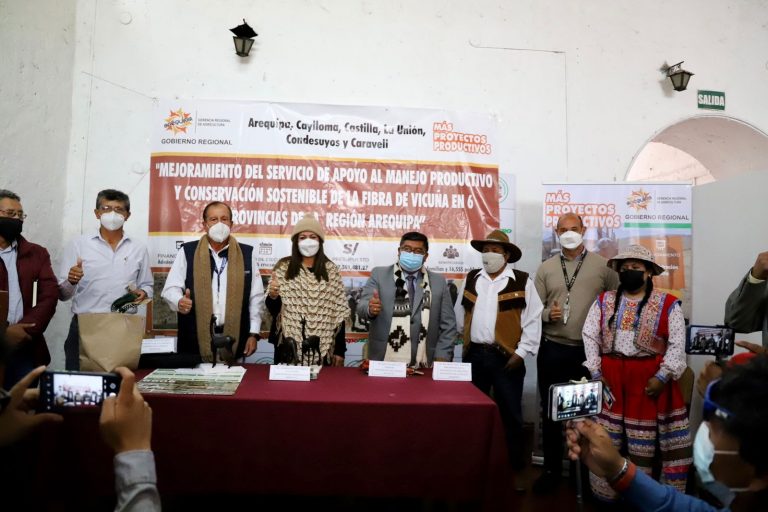 Arequipa: Presentan proyecto productivo de fibra de vicuña para 6 provincias de la región