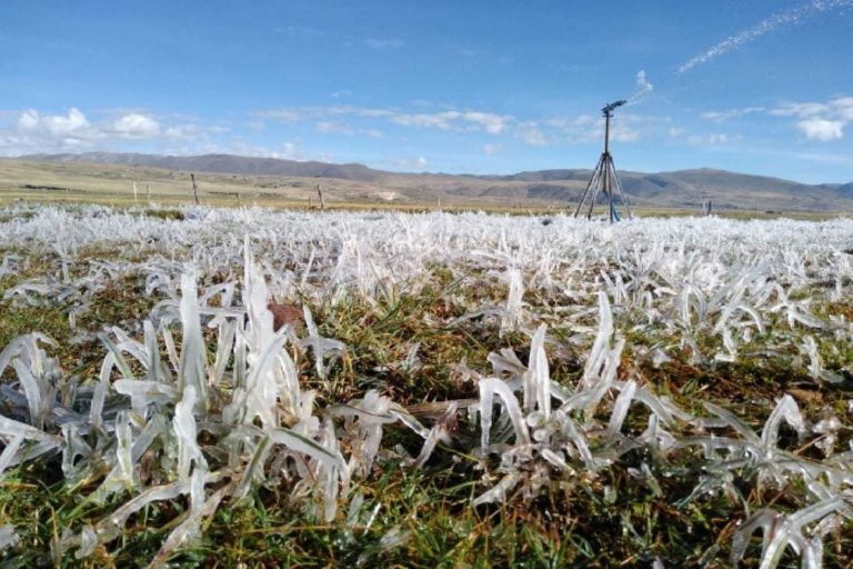 Arequipa: Municipios no presentaron plan de contingencia por heladas