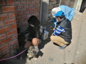 CAMPAÑA ANTIRRÁBICA