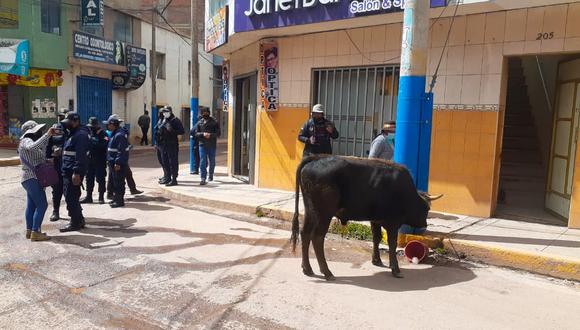 Toro generó pánico en las calles de Juliaca
