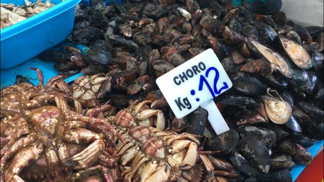Semana Santa: Conozca el precio del camarón y otros productos hidrobiológicos