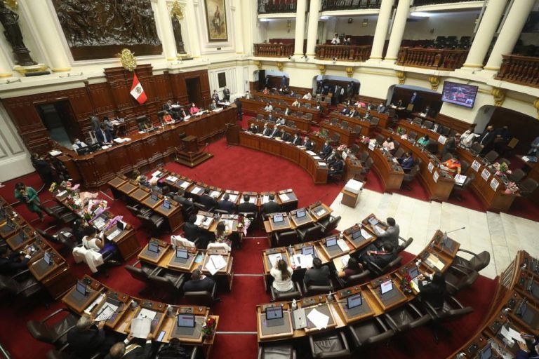 Presentan proyecto de ley que propone elegir a 300 representantes para una Asamblea Constituyente