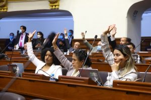 Congresistas votando