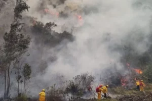Incendio en Machu Picchu
