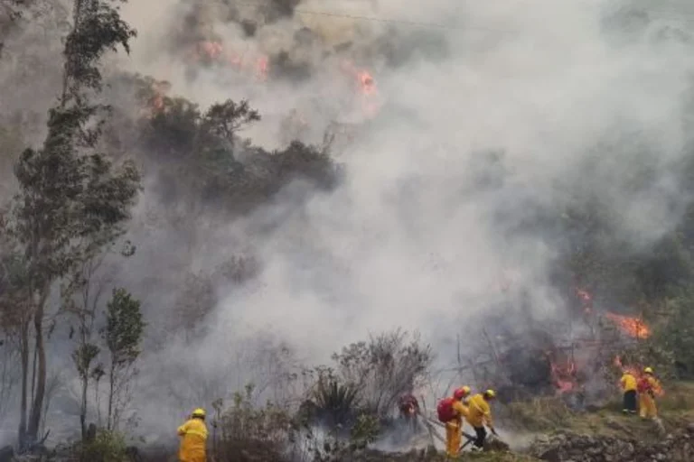 Ministerio de Cultura: Incendio forestal en Machu Picchu no afectó la ciudadela inca ni el monumento Llamakancha