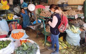 El INEI registró los datos de las empresas peruanas empadronadas en la primera fase del V CENEC a nivel nacional.