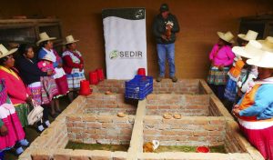 Capacitan a mujeres en idioma quechua sobre la crianza de cuyes