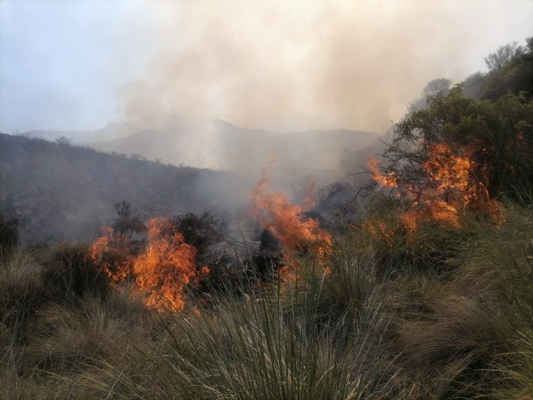 Arequipa: SERFOR exhorta a ciudadanos realizar ecoturismo responsable para evitar Incendios Forestales