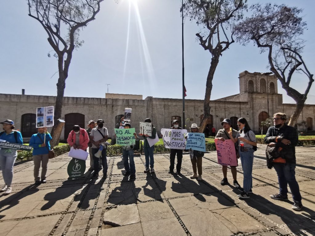 Las organizaciones enviarán una carta a la MPA pidiendo el informe técnico y grabaciones donde se evidencie que los arboles son inseguros.