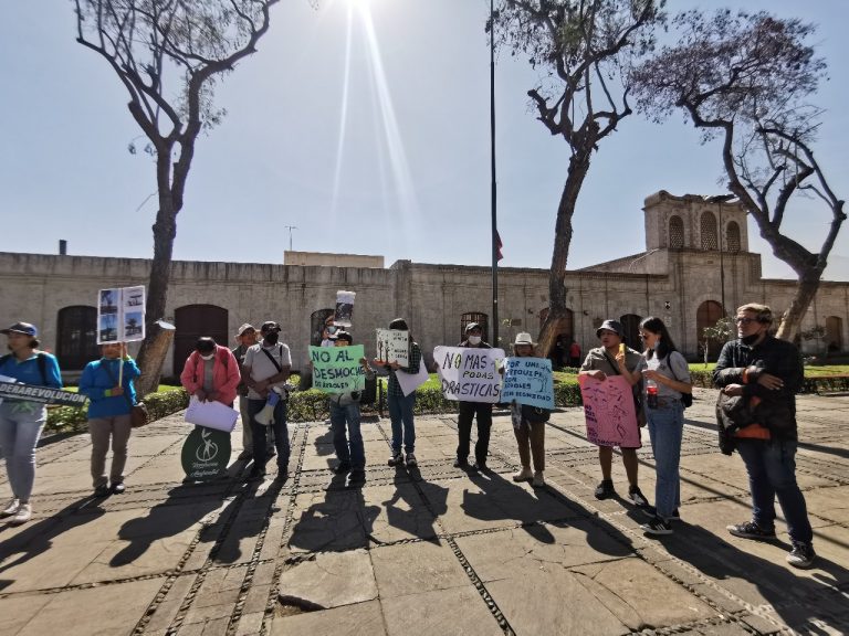 Arequipa: Organizaciones ambientales realizan plantón tras poda de árboles en Plaza San Francisco