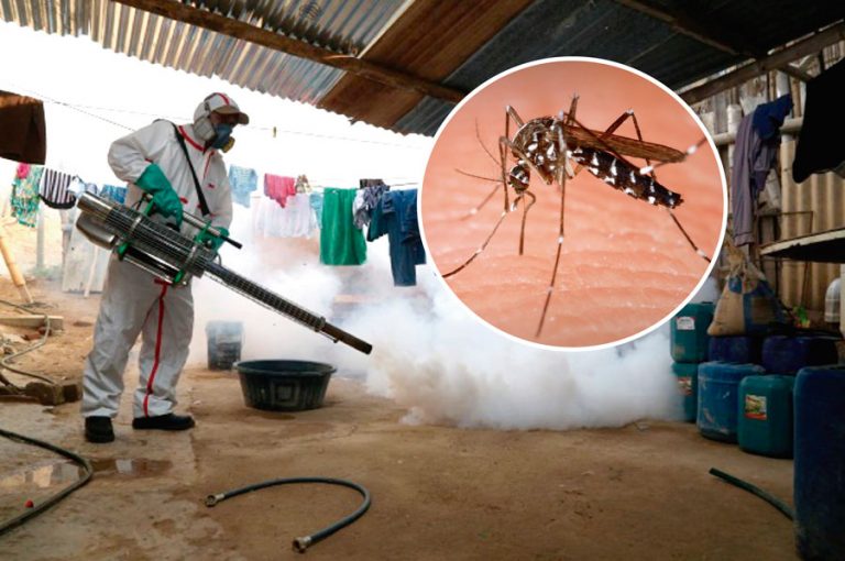 Geresa reporta seis distritos infestados de dengue