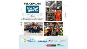 Reconocimiento a Livigui Peru