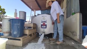Ganaderos lecheros de La Joya en quiebra tras ataques en planta de Leche Gloria.