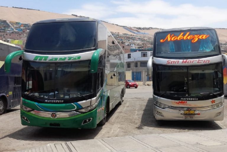 Tacna: Terminal Collasuyo y Los Incas reanudan viajes hacia Puno y Cusco