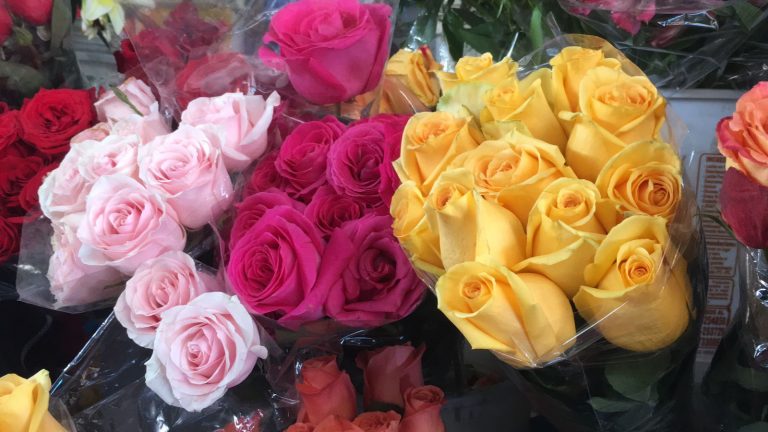 San Valentín: Precio del ramo de flores aumentó en un 30 %