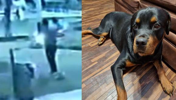 Trujillo: Hombre mata de cuatro balazos a un perro