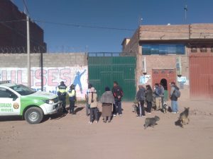 Juliaca: Delincuentes ingresan a vivienda y se llevan más de S/12 000