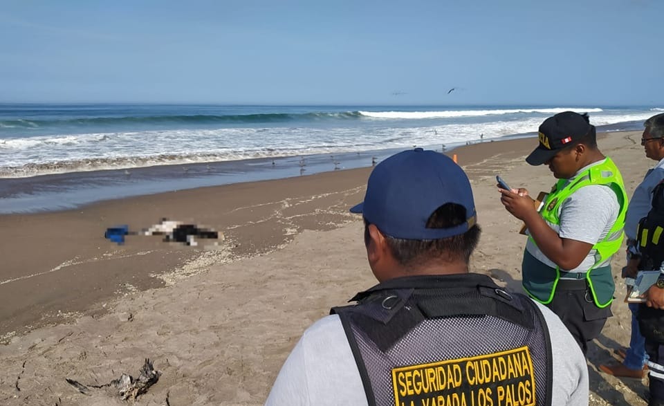 Tacna: Hallan el cadáver de un varón en la playa La Yarada-Los Palos